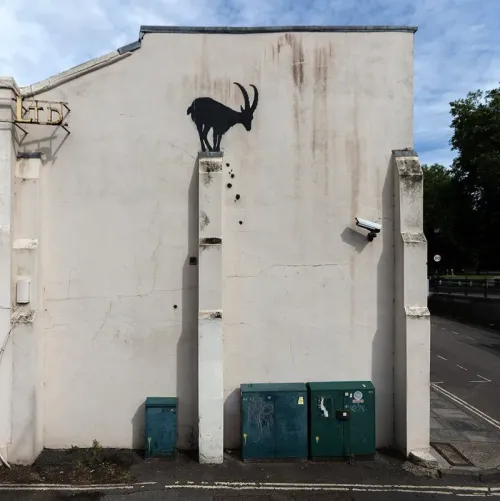 An ibex goat in Kew.