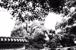 r0000959-2.jpg