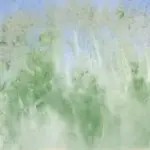 A dream of birches near water