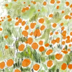 Orange Tree