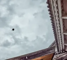 2025 Year-end Media List