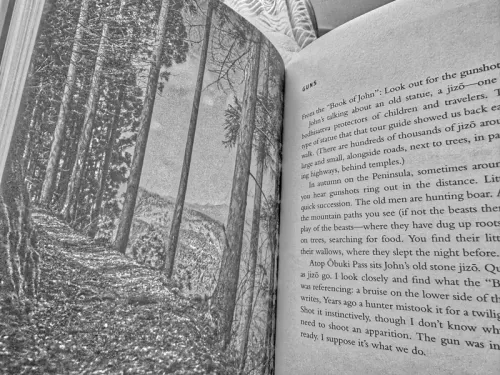 book spread