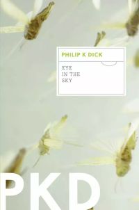 Eye in the Sky