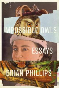 Impossible Owls - Essays