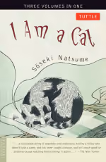 i-am-a-cat.webp