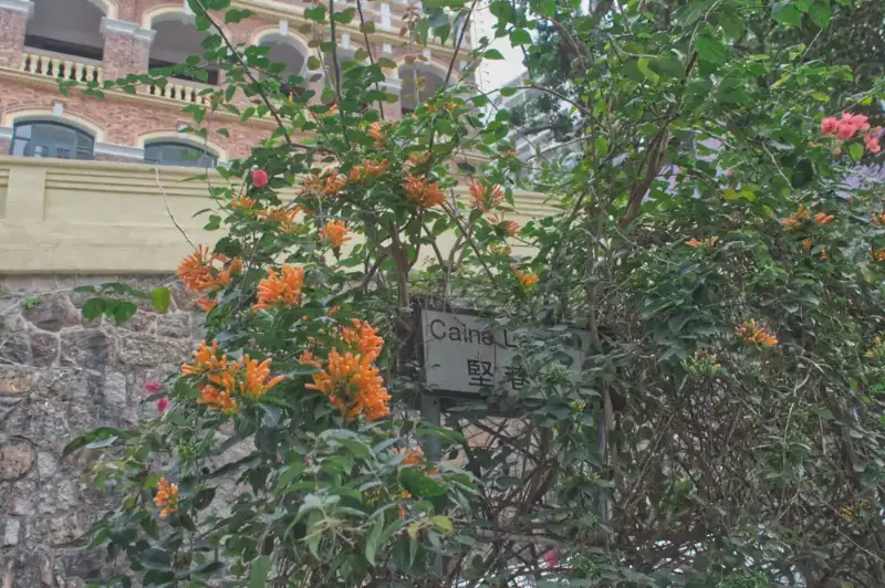 Old pathological institute on Caine Lane