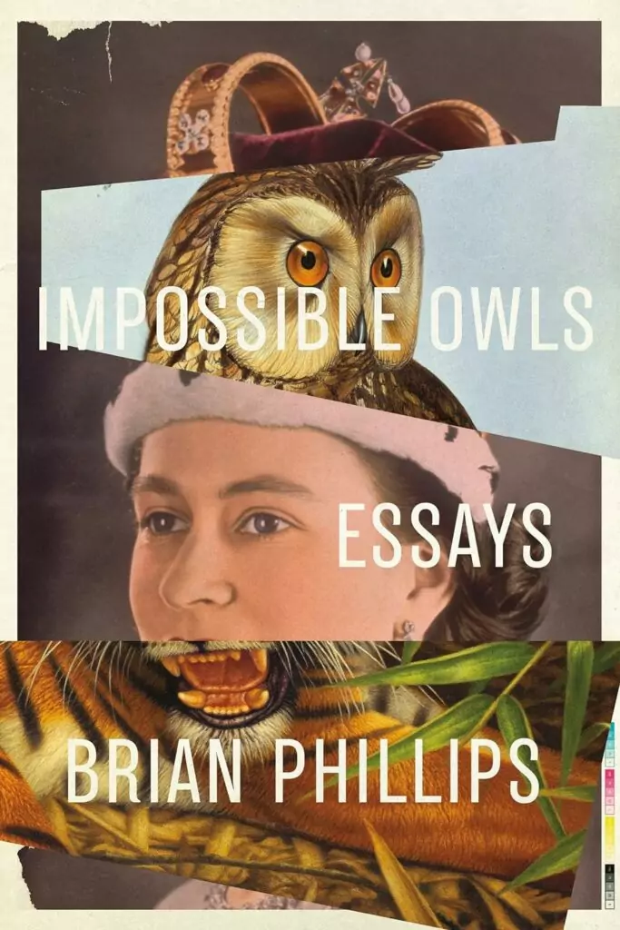 Impossible Owls - Essays