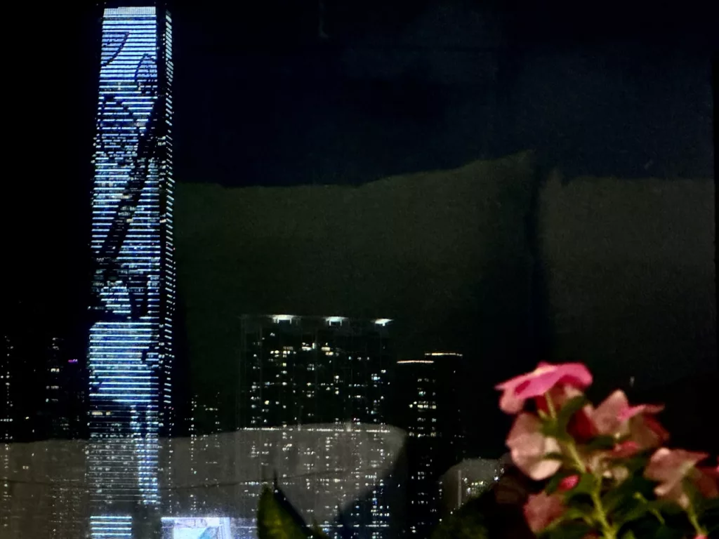 The ICC, indoor flowers in foreground.