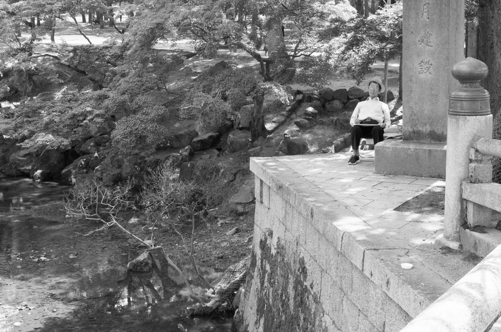 Contemplation over a large koi pond and beyond.