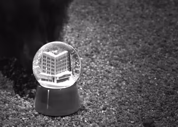 snow-globe