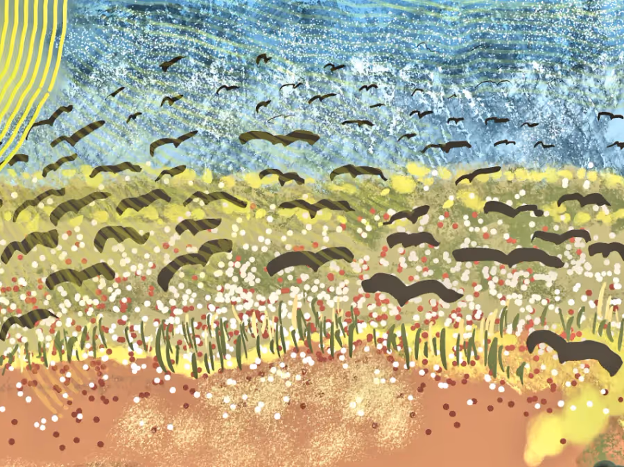 crows